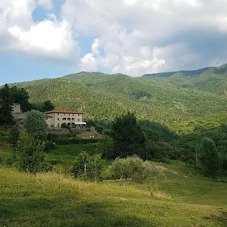农家乐 Casentino - Fattoria Ventrina Martina