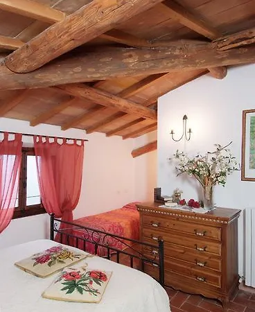 Casentino - Fattoria Ventrina