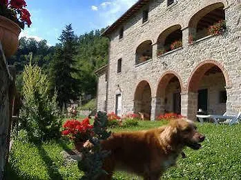 Casentino - Fattoria Ventrina * Martina